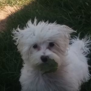 Meet your Posher, Debra